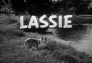 Lassie 1954 TV Serie Lassie 1954 TV Series Abcdef Wiki