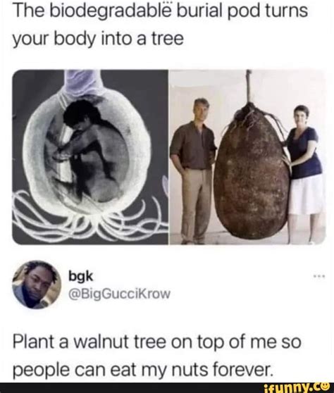 The Biodegradable Burial Pod Turns Your Body Into A Tree Plant A Walnut Tree On Top Of Me So