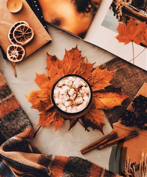 Fall Vibes Autumn Aesthetic Autumn Aesthetic Fall Wallpaper