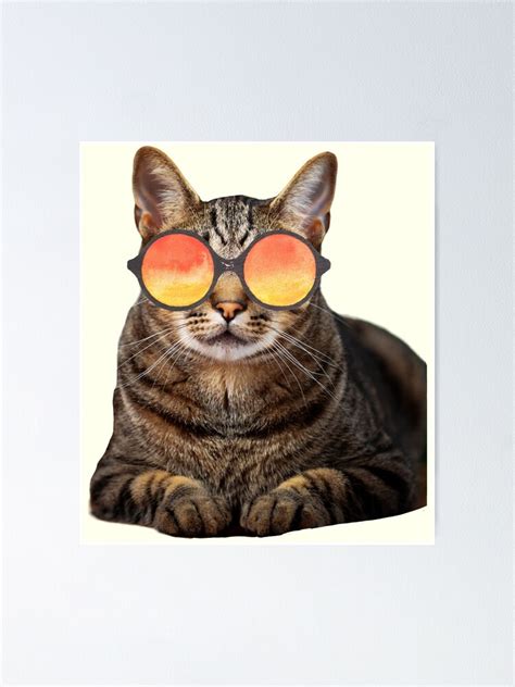 Funny Cat Face With Funky Glasses Poster For Sale By Elijahtedd