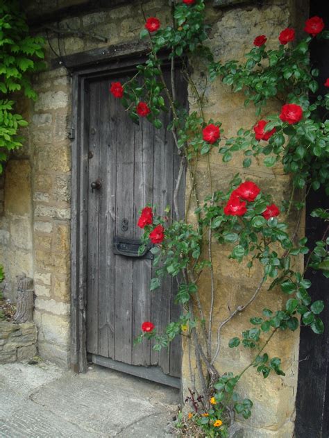 Roses Growing Around A Door Eski Kapılar Resim Tablolar