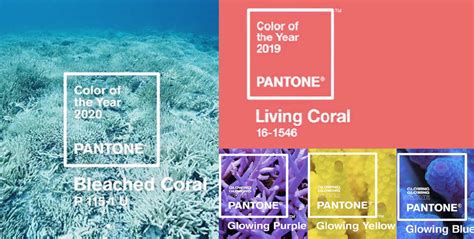 Il Trend Colori Per Il 2020 è Sostenibilità Bleached Coral Batte