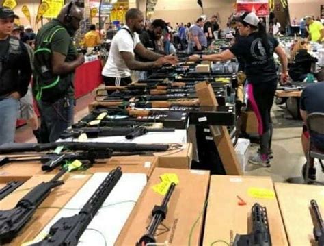 top 5 amazing florida gun shows