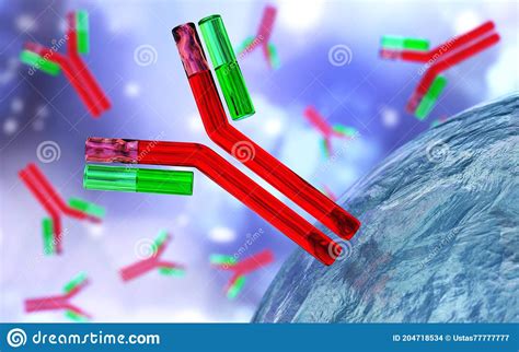 Antibody Immunoglobulin Stock Illustration Illustration Of White