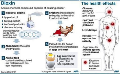 Agent Orange Chemical Warfare Toxins