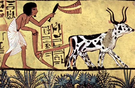 the history of organic farming the geopolitical observer