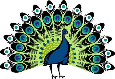 Peafowl Clip Art Peacock Png Png Download 30002063 Free