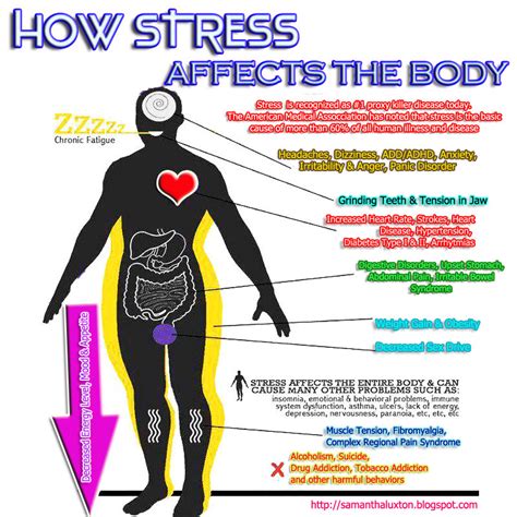 How Stress Affects Our Body Samantha Luxtons Notes