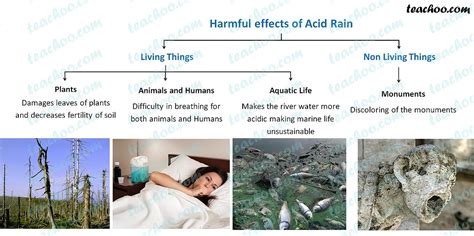 Acid Rain Definition Causes Effects Teachoo Concepts