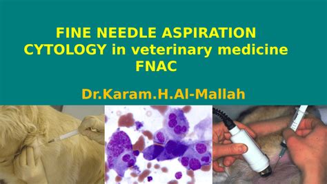 Pdf Fine Needle Aspiration Cytology In Veterinary Medicine