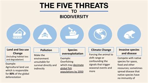 Can Biodiversity Loss And Climate Change Be Tackled Together World