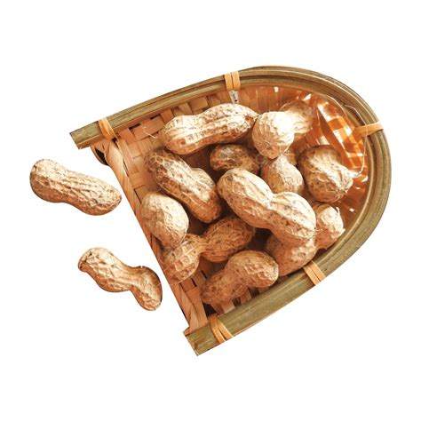 Delicious Peanut Transparent Layer Material Peanut Transparent