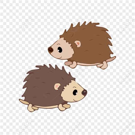 Baby Hedgehog Cartoon