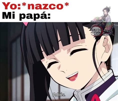 Kimetsu No Yaiba Cómics En 2021 Memes De Anime Memes Otakus Memes