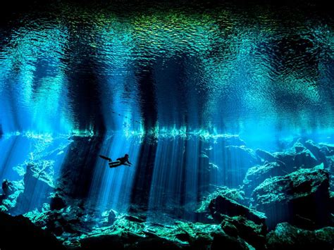 Go Underwater To See Natures Ocean Life On Full Display Herald Sun