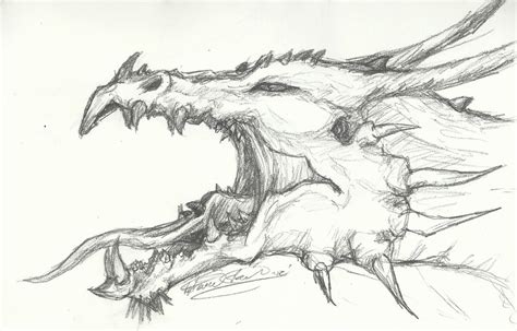 Roaring Dragon Head Sketch By Thousandwordstosay On Deviantart