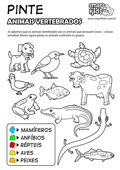 Atividades Animais Vertebrados E Invertebrados Espaço Renda