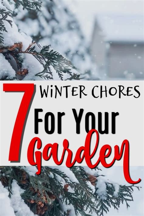 7 Garden Chores To Do Before Winter 7 Garden