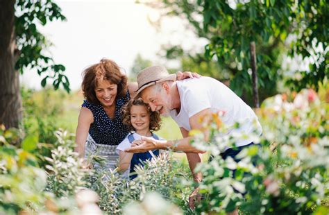 What Are The Health Benefits Of Gardening For Seniors
