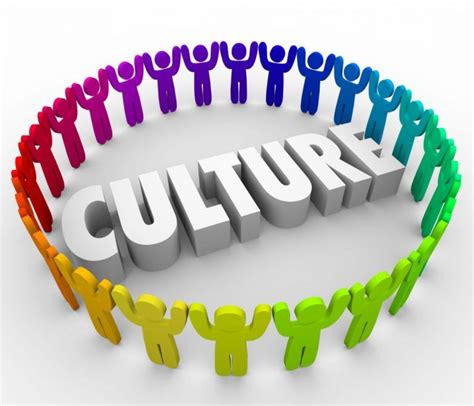 What Are The Types Of Culture