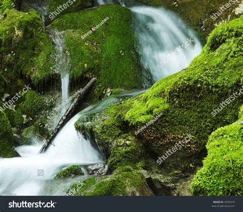 Beautiful Small Waterfall In Green Stone Stock Photo 2955410 Shutterstock