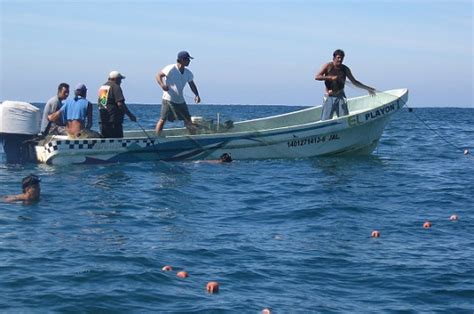 Unir Esfuerzos Para Lograr La Sustentabilidad En La Pesca Sagarpa