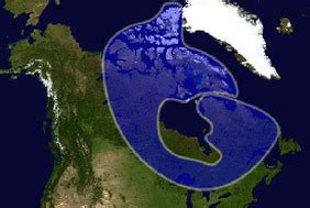 The canadian shield is an expanse of precambrian igneous and metamorphic rocks that form the core of the north american continent. Canadian Shield - United States and Canada