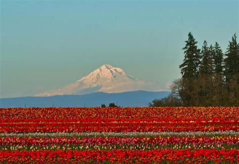 Willamette Valley, Oregon Wine Country