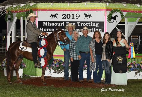 Missouri Fox Trotting Horse Breed Association Concludes Successful But