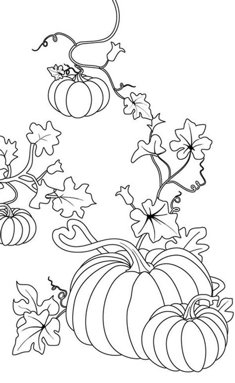 Pumpkins grow on a vine in a pumpkin patch. Pumpkin Vine Coloring Pages | Pumpkin coloring pages, Fall ...
