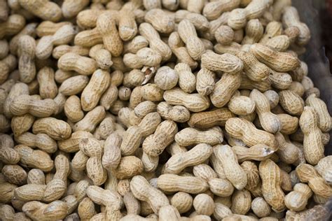 Peanuts Free Photo Download Freeimages