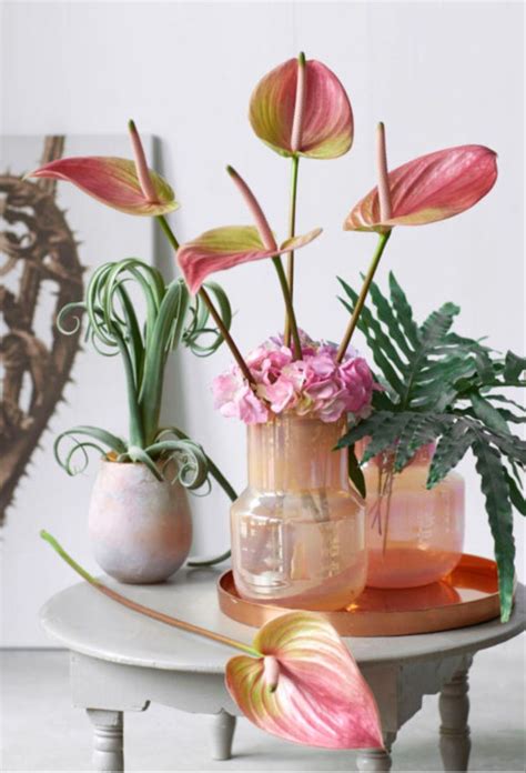 Love These Gorgeous Anthurium Ikebana Flower Arrangement Anthurium