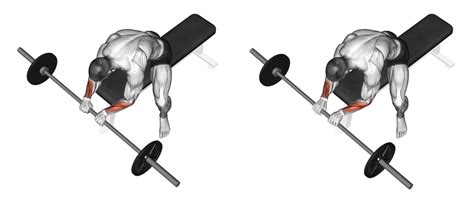 Barbell Reverse Wrist Curls Benefits Muscles Worked And More