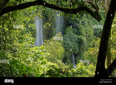 Benang Kelambu Waterfalls In Tropical Forest Near The Village Aik Berik