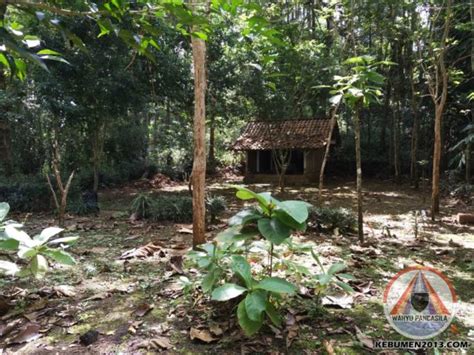 Video viral wanita ini curhat, ibunya diarak dan diikat di pohon, sempat dipukul saat mau menolong. Pangeran Ngabdulrakim Sirnabaya | Wahyu Pancasila