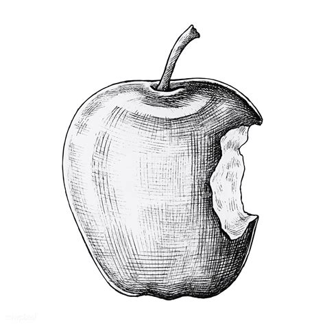 Hand Drawn Bitten Apple Vector Premium Image By How To