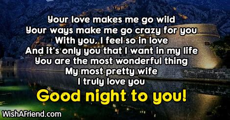 You are my love, my everything, and i want to spend each and every second of my whole life trying to make you smile. Good Night Messages For Wife