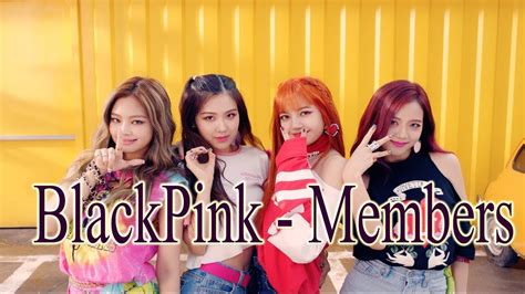 Black Pink Members Profile 2017 Blackpink Introduction Youtube