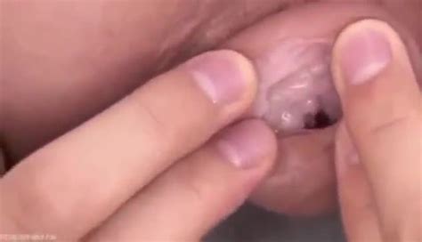 Hard Nipple Fuck Sex Pictures Pass