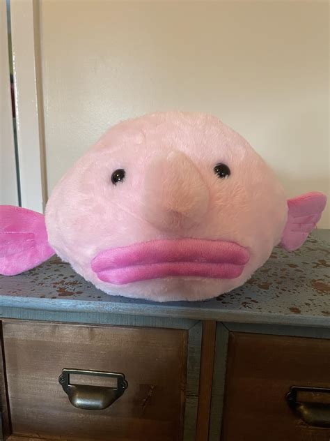My Blobfish Arrived!!! R/buildabear, 45% OFF