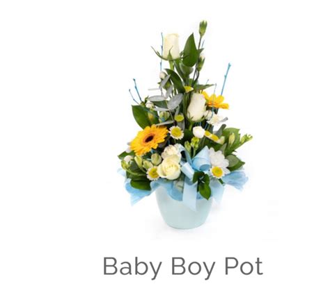 Baby Boy Pot Arrangement Buy Online Or Call 01473 725551