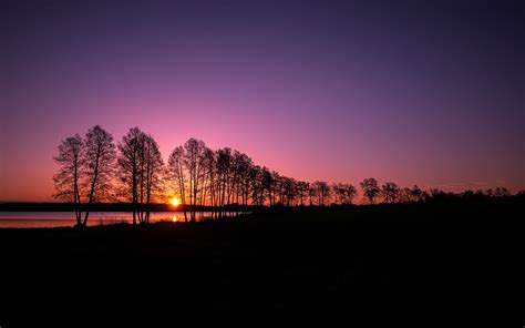 Landscape Nature Silhouette Trees Clear Sky Sunset Evening Lake