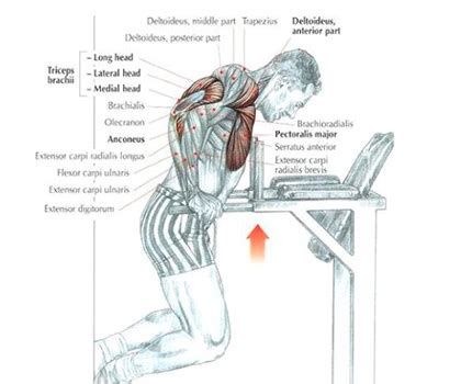 Power Tower Workout: Ultimate Guidebook 2017