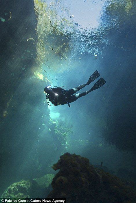 Stunning Images Of Ancient Mayan Sinkhole In The Mexican Jungle