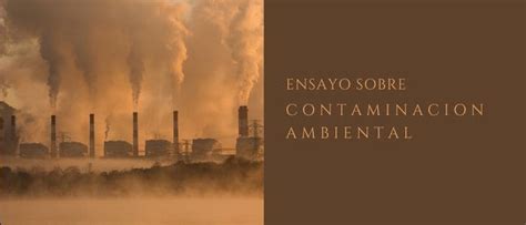 Ensayo Sobre La 【contaminación Ambiental】