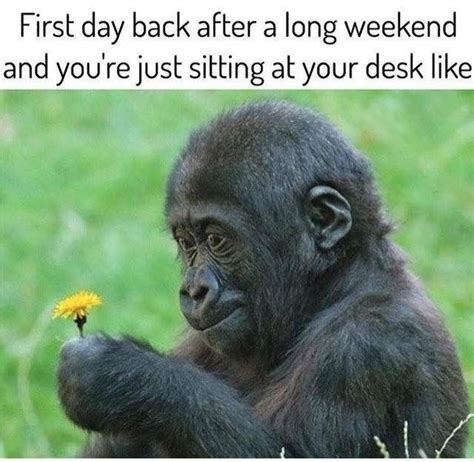 Pin By Jennifer On Days Of The Week Work Humor Funny Memes Work Memes