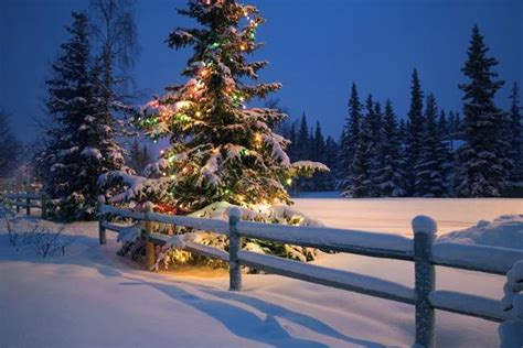 Decorated Christmas Tree Along Snow Covered Fence Rail Night Anchorage