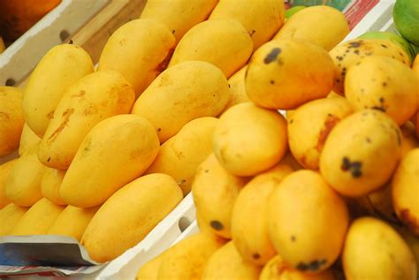 Why You Should Be Eating Mangoes Next Time Youre High