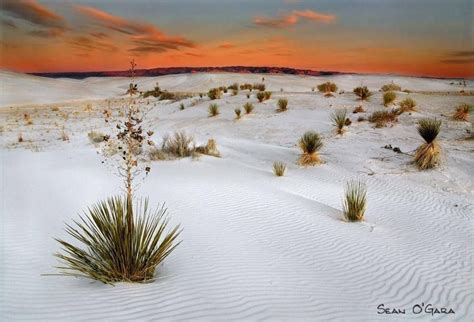 White Sands National Park In Southern New Mexico U S A White