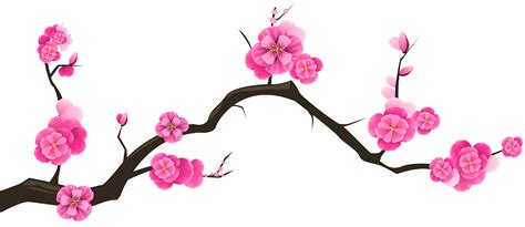 Chinese Cherry Blossom Drawing Free Download On Clipartmag